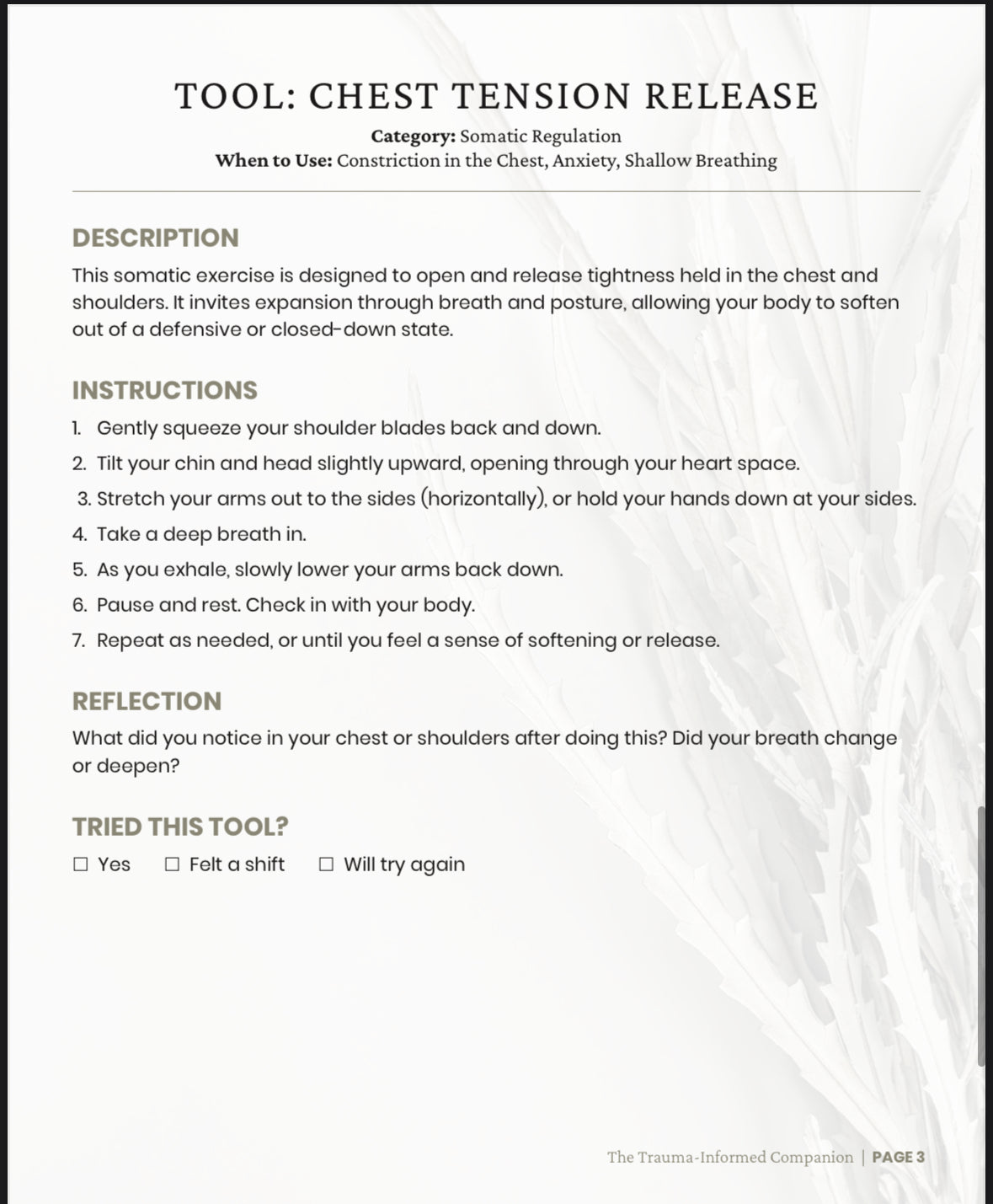 The Trauma-Informed Companion: A Somatic Toolkit by The Healing Fawn